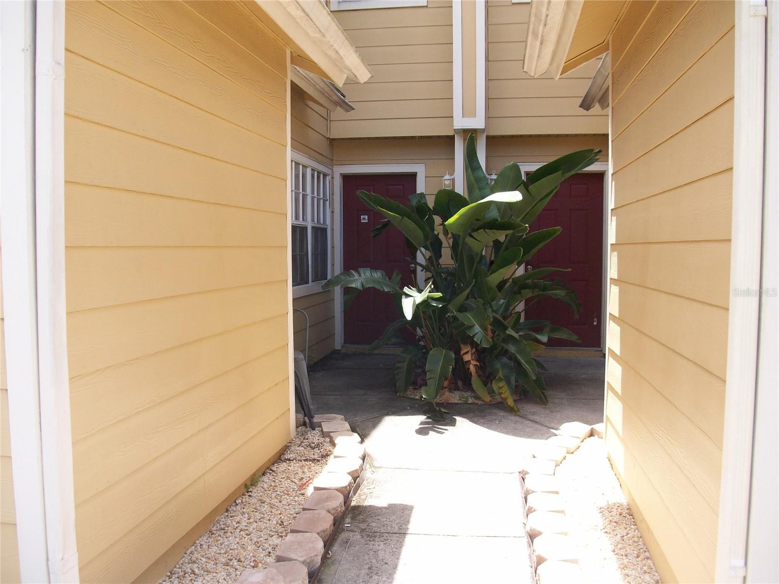 511 Coconut Palm Way Property Photo 3