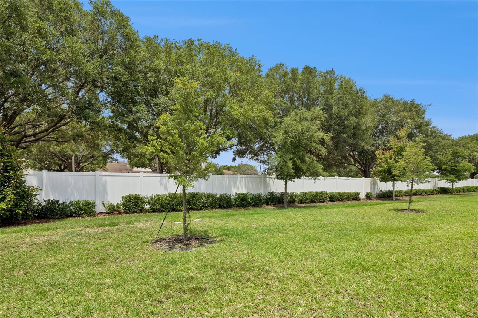2097 Crape Jasmine Ln Property Photo 29