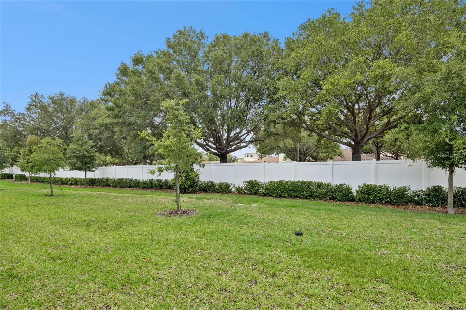 2097 Crape Jasmine Ln Property Photo 32
