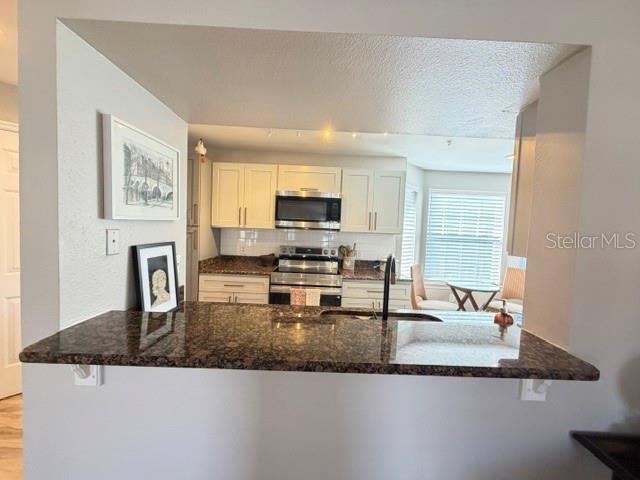 420 Summit Ridge Pl #310 Property Photo 33