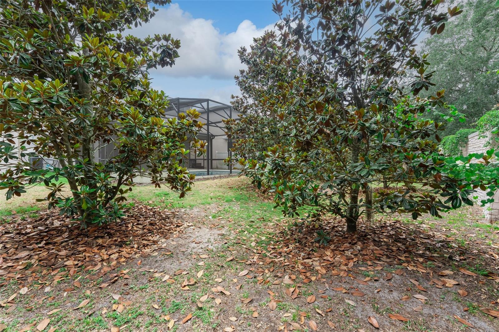 2265 Emerald Springs Dr Property Photo 34