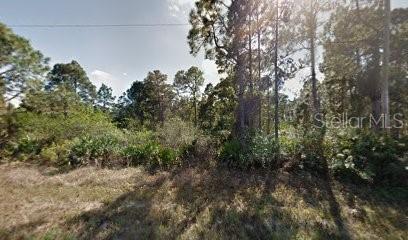 1118 Cove St E Property Photo 2