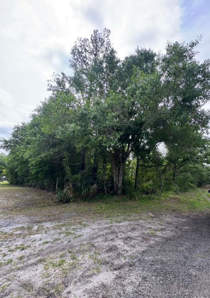 1249 Sable Palm Dr Property Photo 1