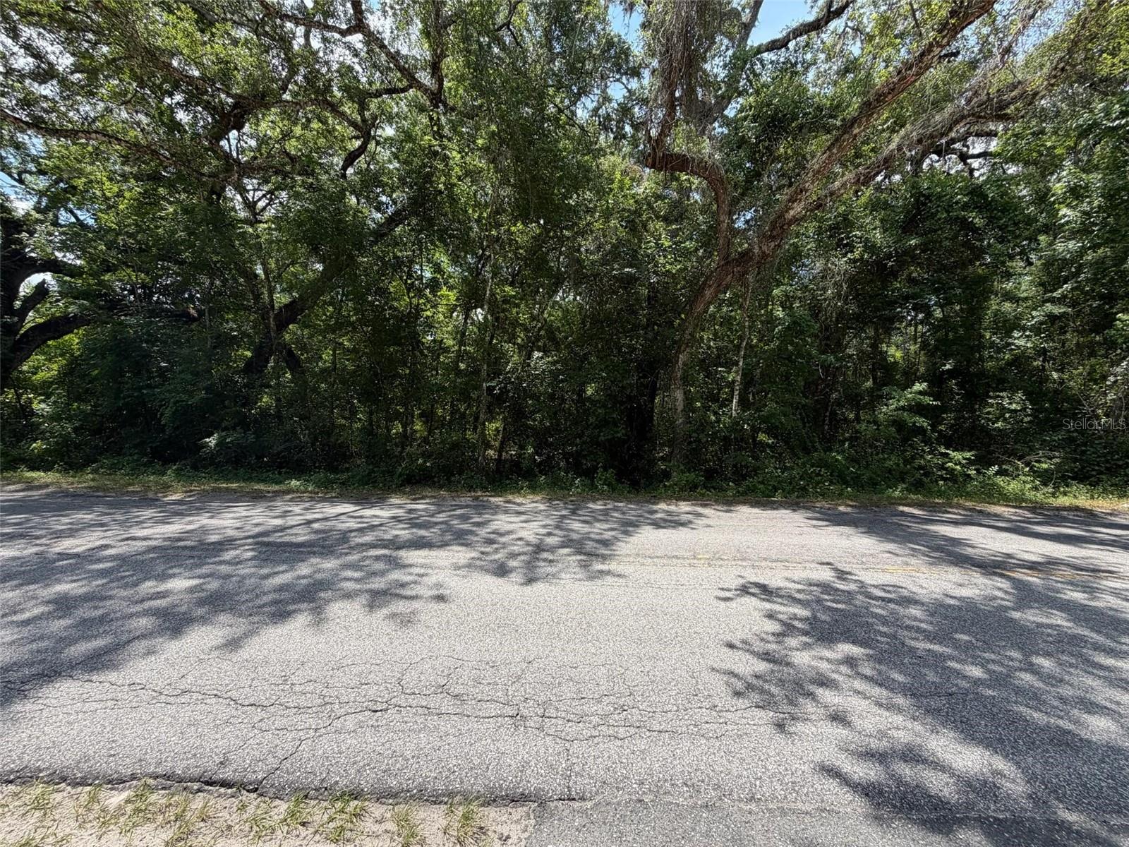 0 Cr 656 Property Photo 3