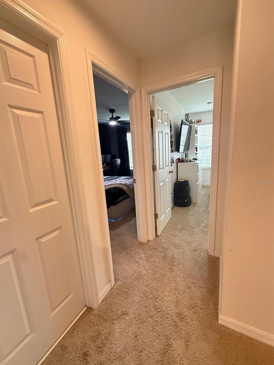 8866 Herencia Aly Property Photo 19