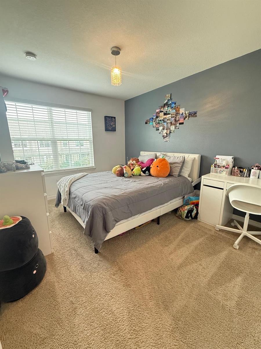 8866 Herencia Aly Property Photo 28