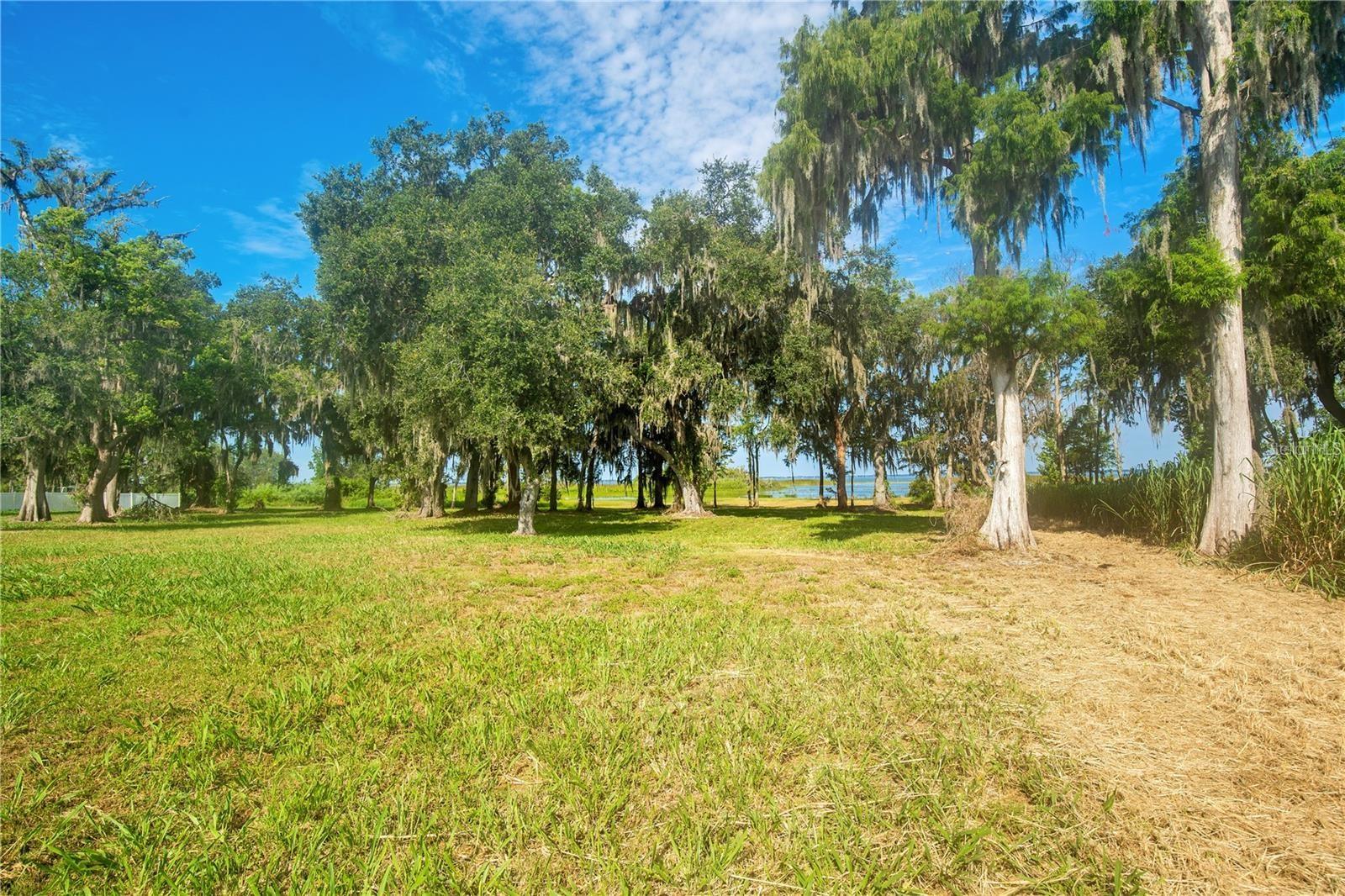 4810 Calasans Ave Property Photo 39