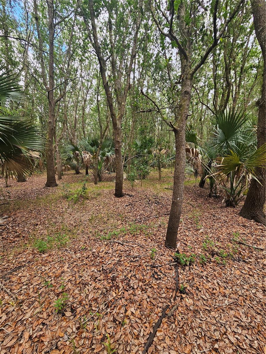 601 Howard Ave Property Photo 2