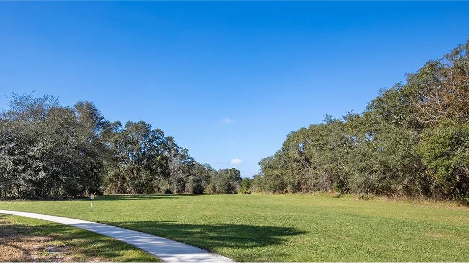6056 Peaceful Park Way Property Photo 29