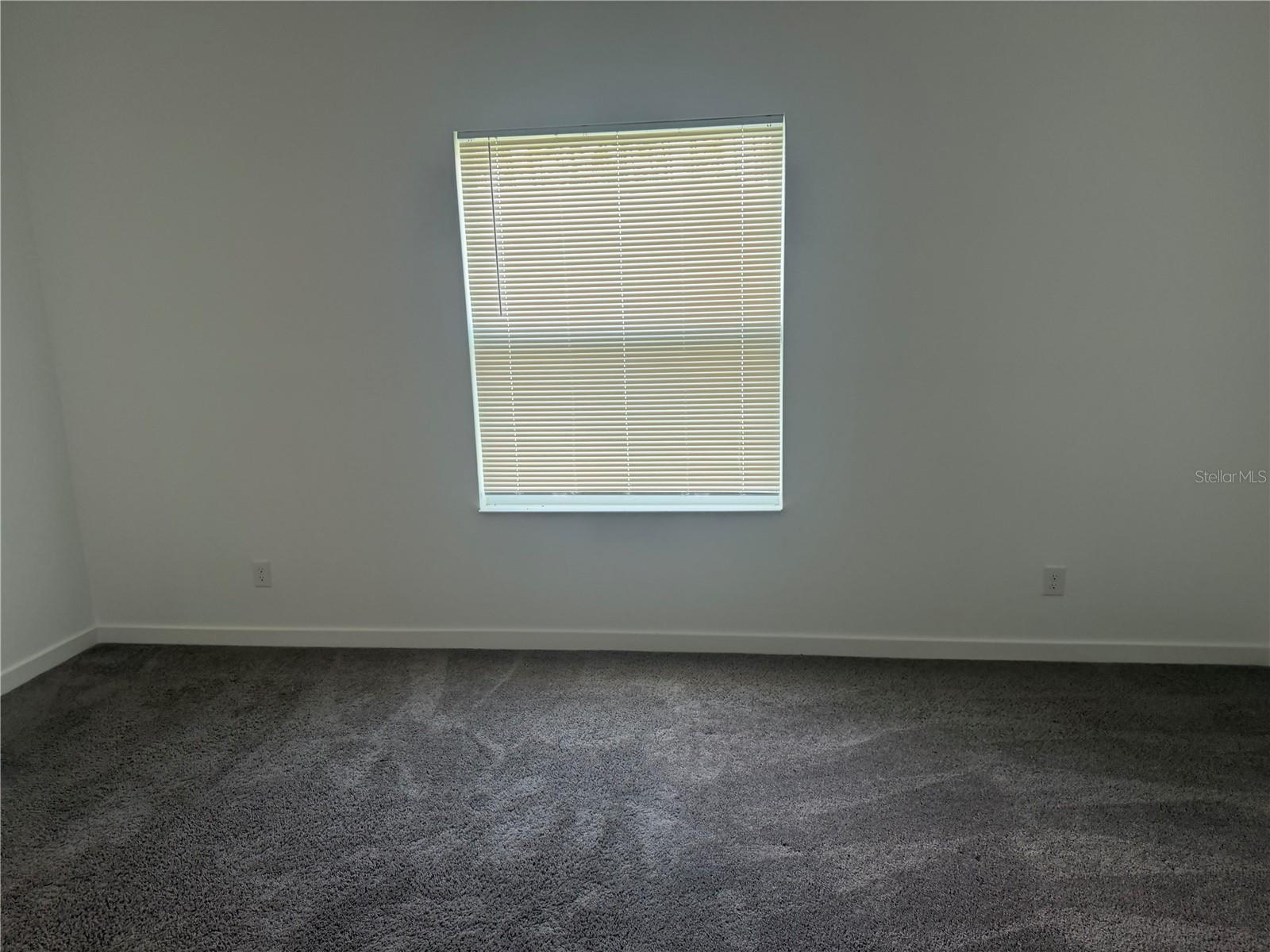 319 Spaulding St Property Photo 21