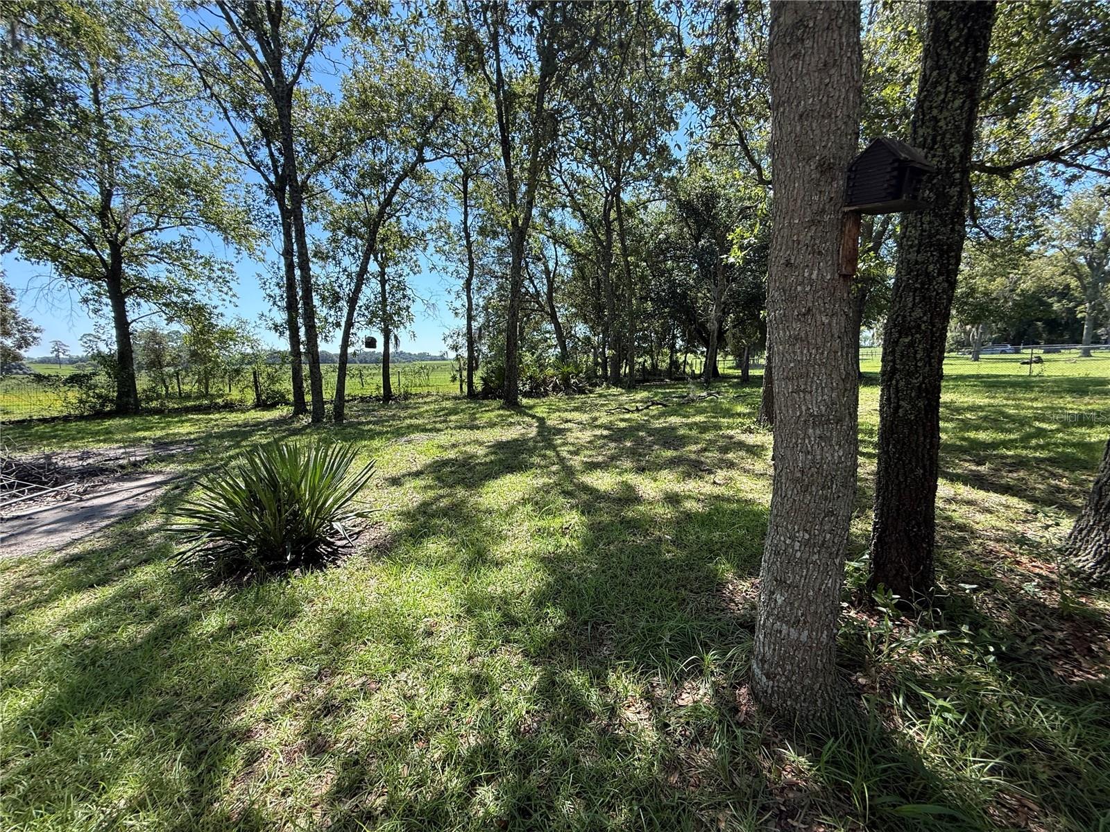 6555 Sw 165th Ct Property Photo 40