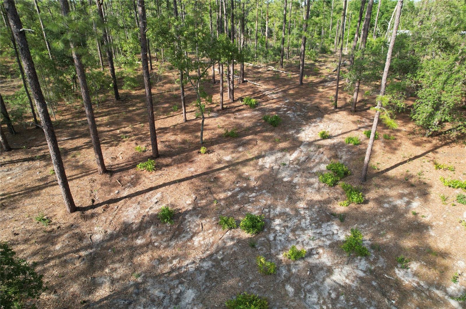 Se 148th Ct Property Photo 1