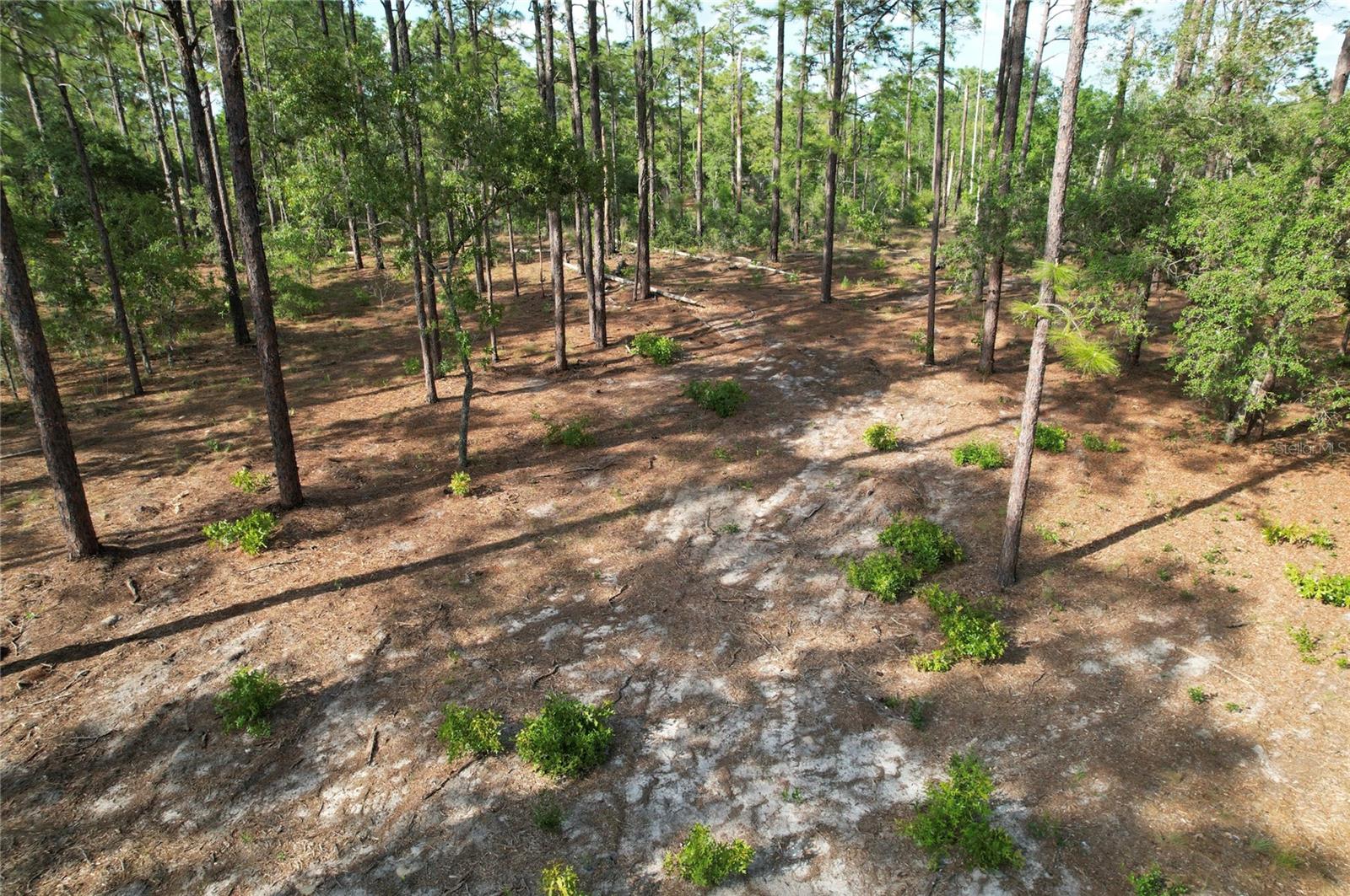 Se 148th Ct Property Photo 3