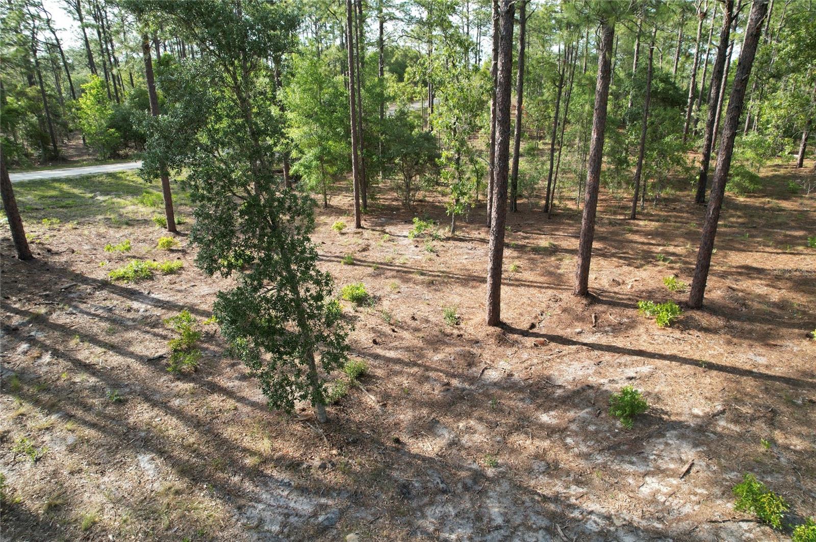 Se 148th Ct Property Photo 4