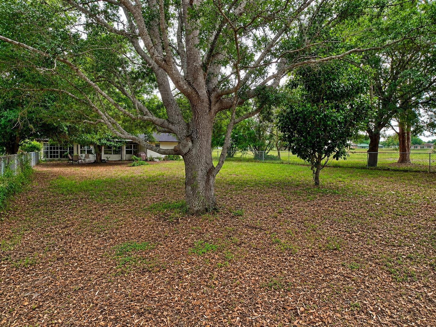 7317 Lime Tree Ct Property Photo 16