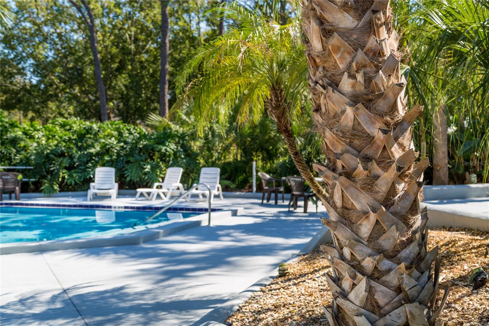 3721 S Lake Orlando Pkwy #2 Property Photo 34