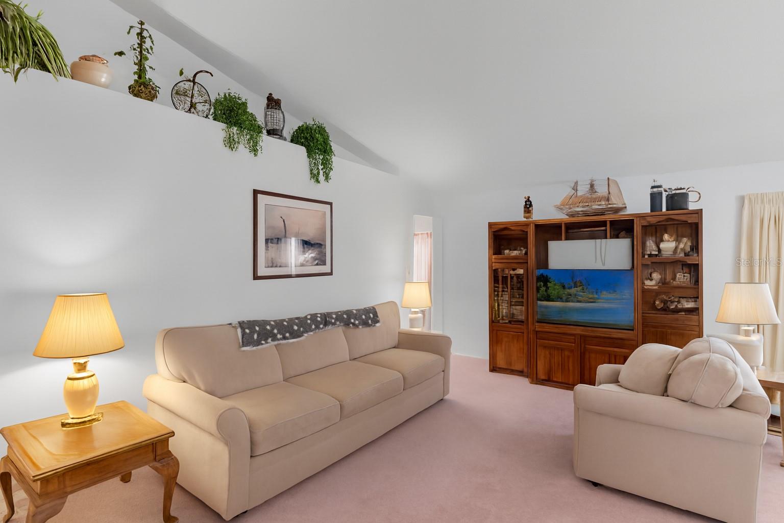 1237 Franford Dr Property Photo 8