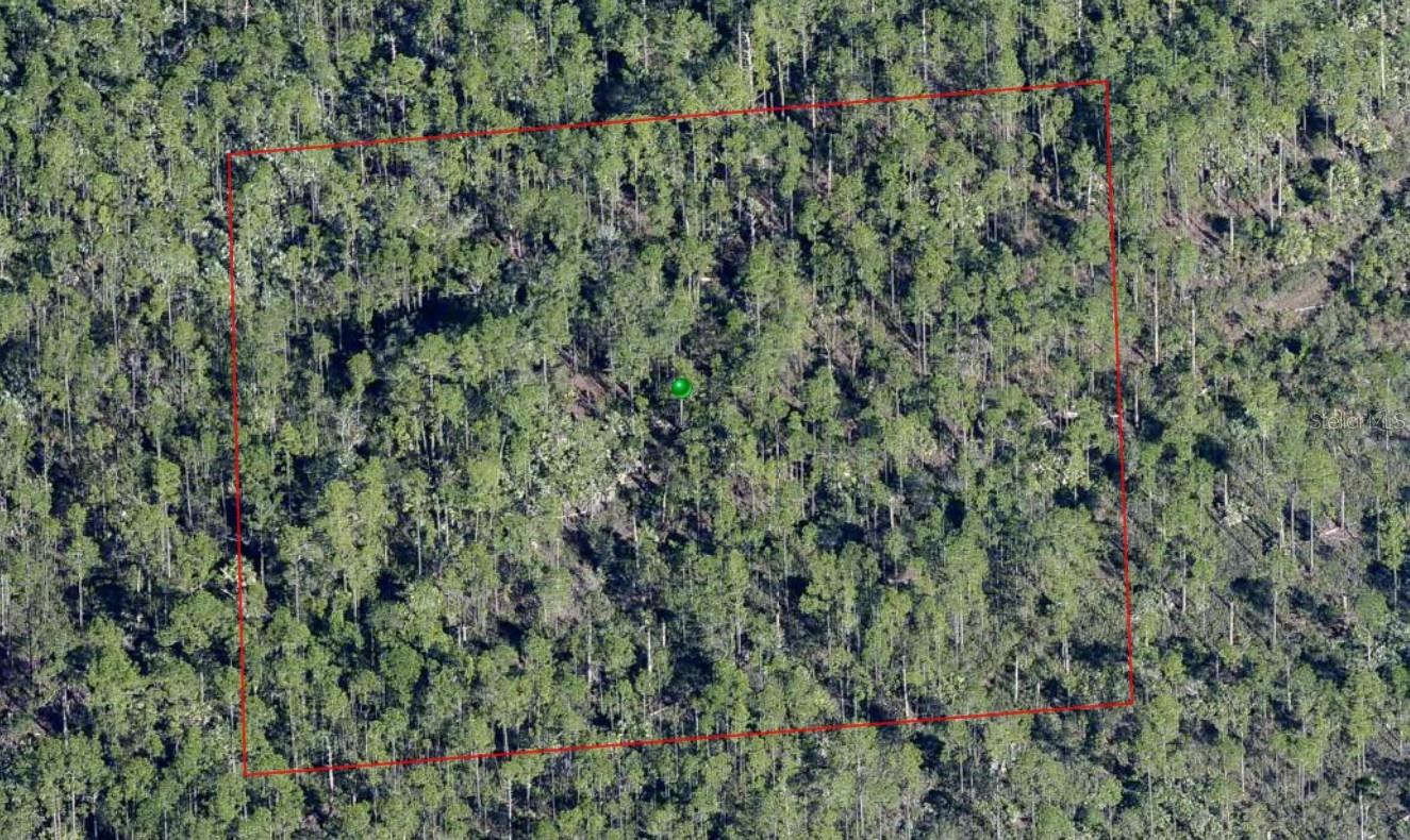Lake Harney Rd Property Photo 1