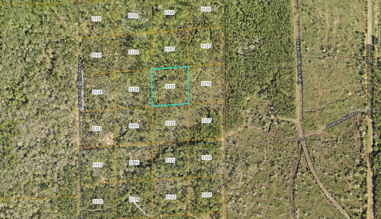 Lake Harney Rd Property Photo 2