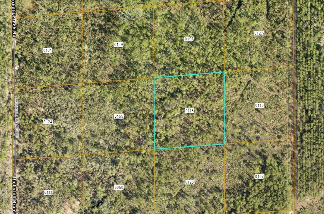 Lake Harney Rd Property Photo 3