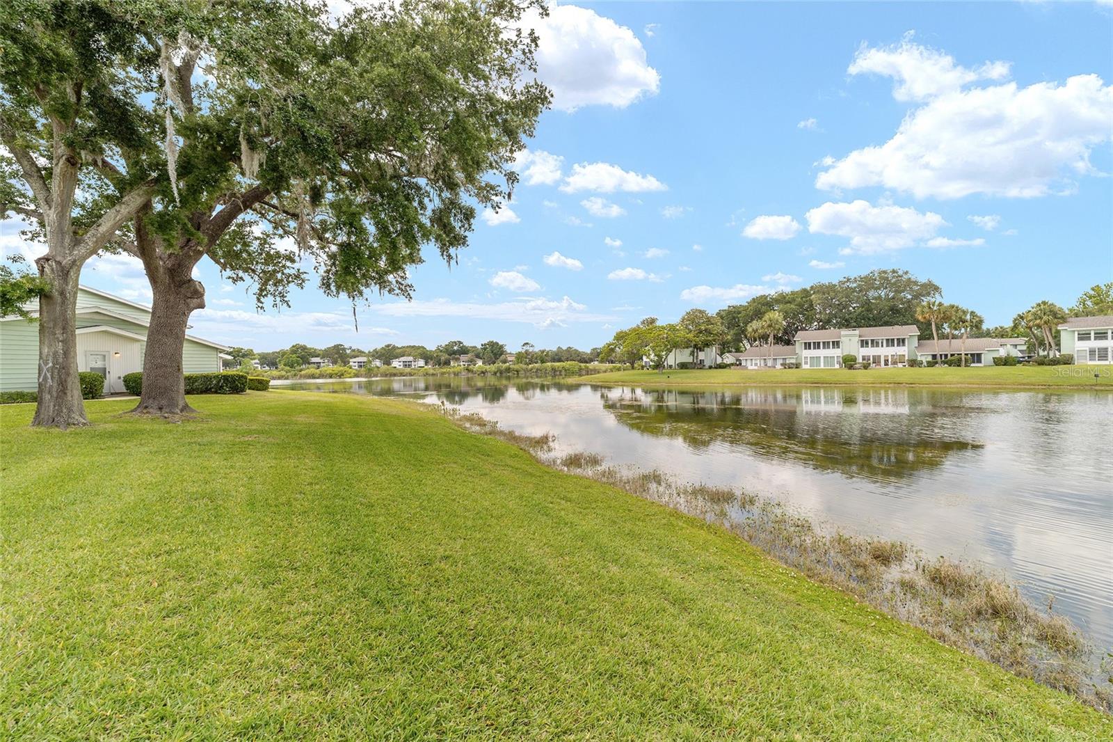 557 Midway Dr #b Property Photo 38