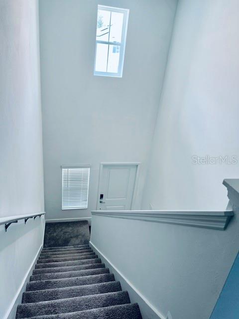 865 Daring Dr Property Photo 14