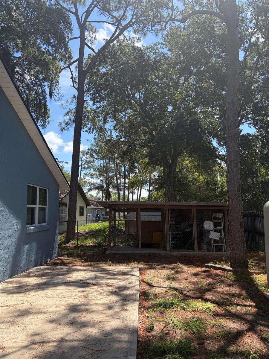 6436 Fig Leaf St Property Photo 23