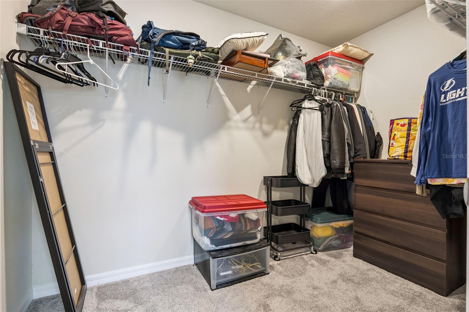 4062 Feather Tree Dr Property Photo 20