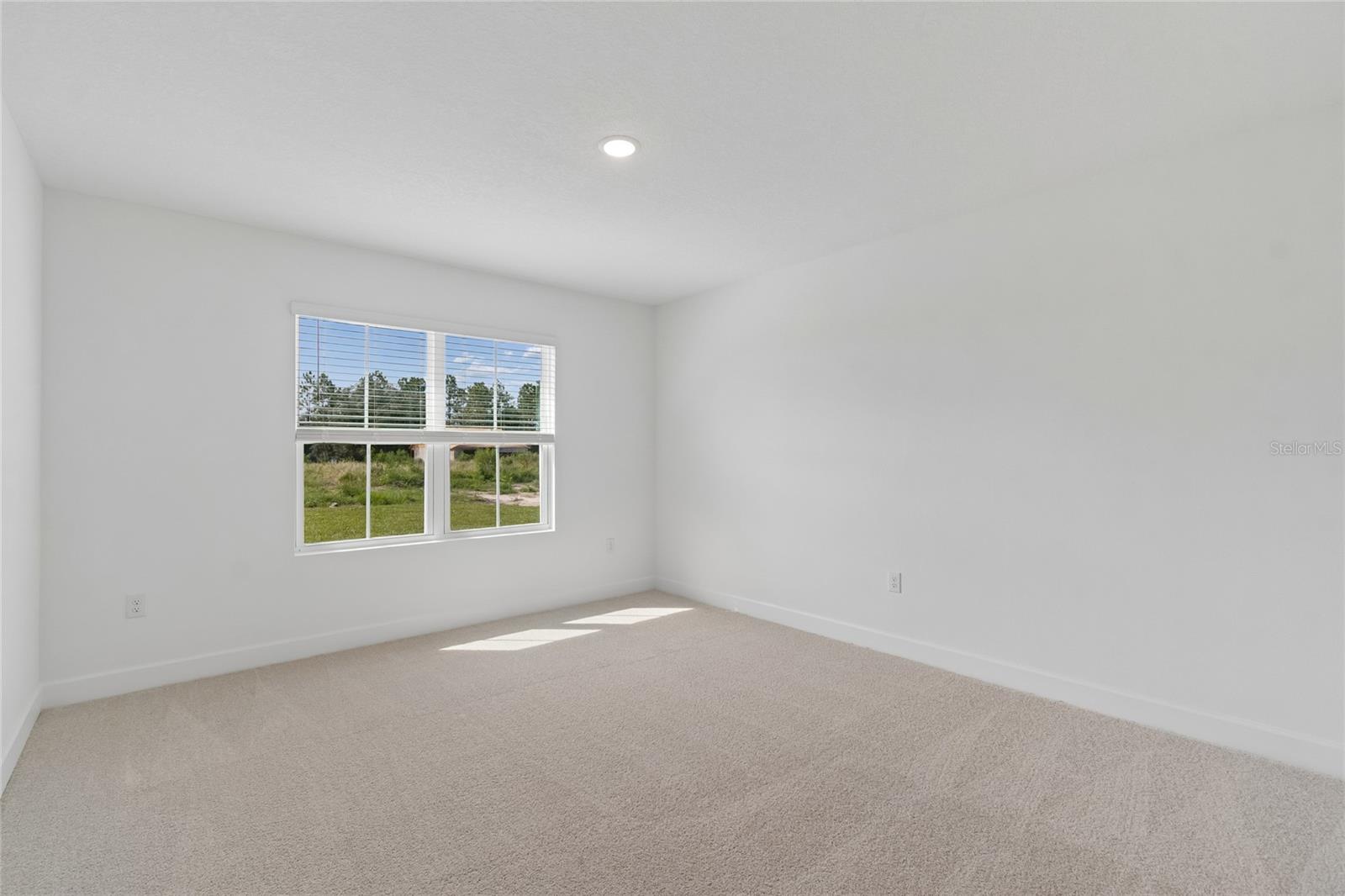 8238 Eldron Pl Property Photo 10