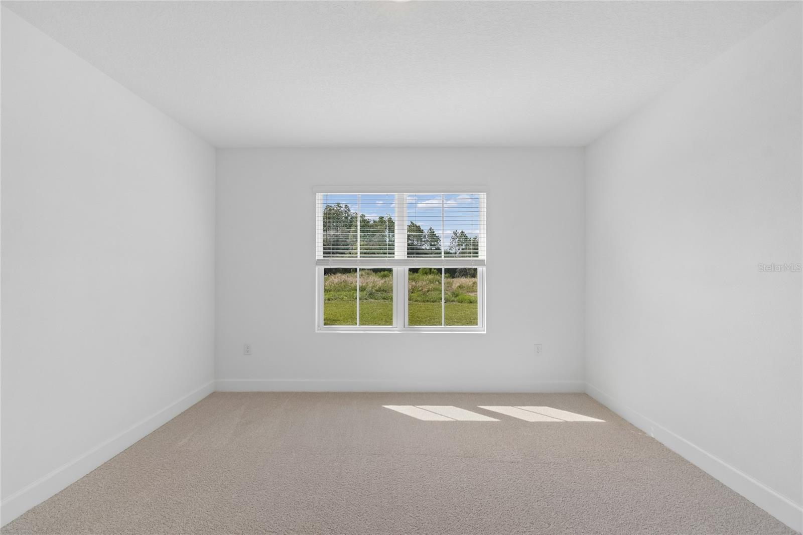 8238 Eldron Pl Property Photo 11