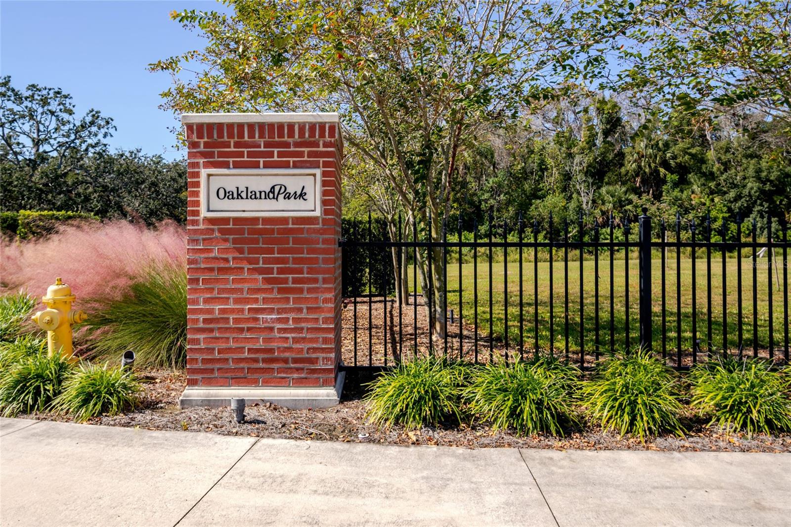 1101 Eagles Pass Way Property Photo 62
