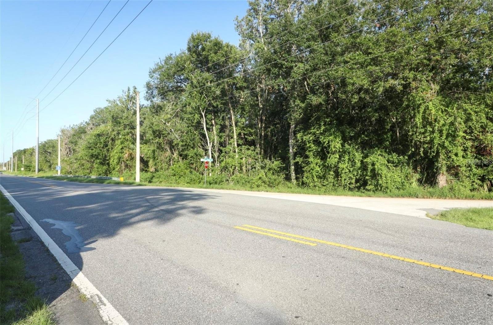 County Road 44 Property Photo 3