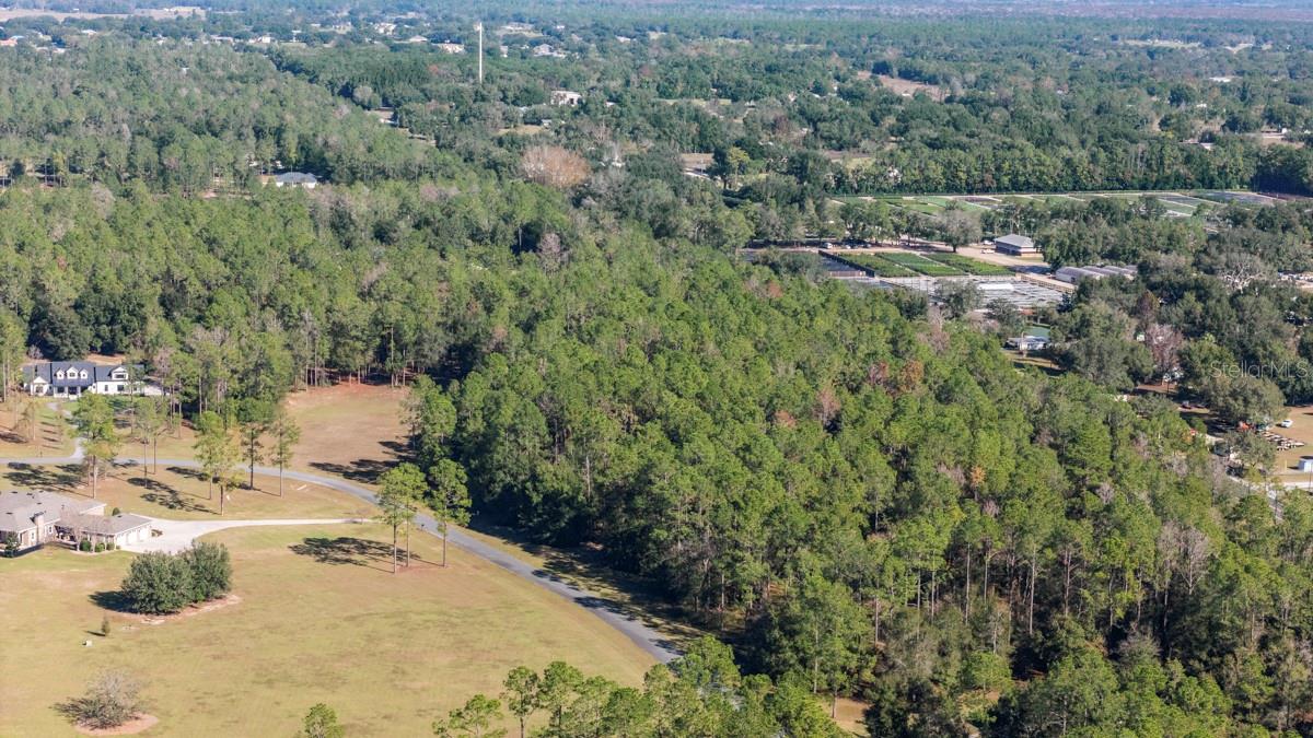 24250 Deep Springs Loop Property Photo 8
