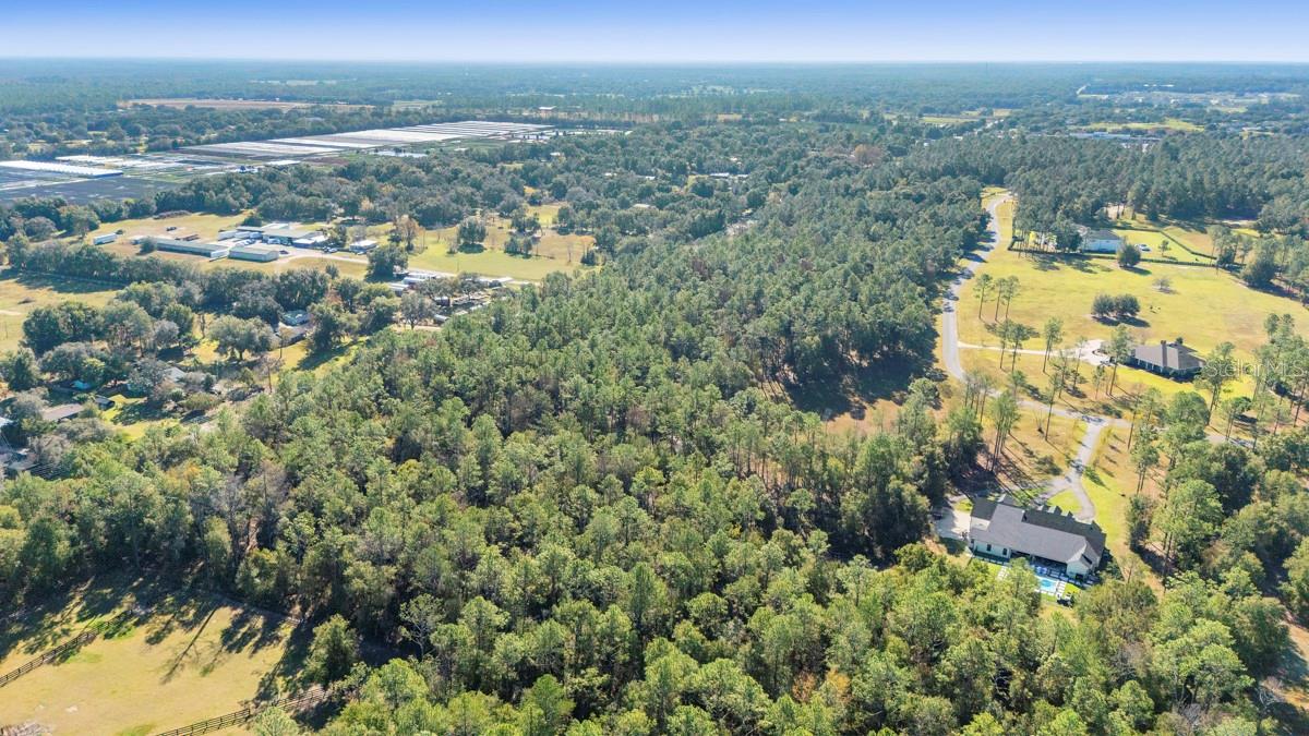 24250 Deep Springs Loop Property Photo 10