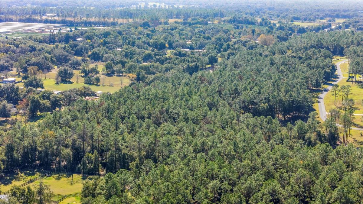 24250 Deep Springs Loop Property Photo 11