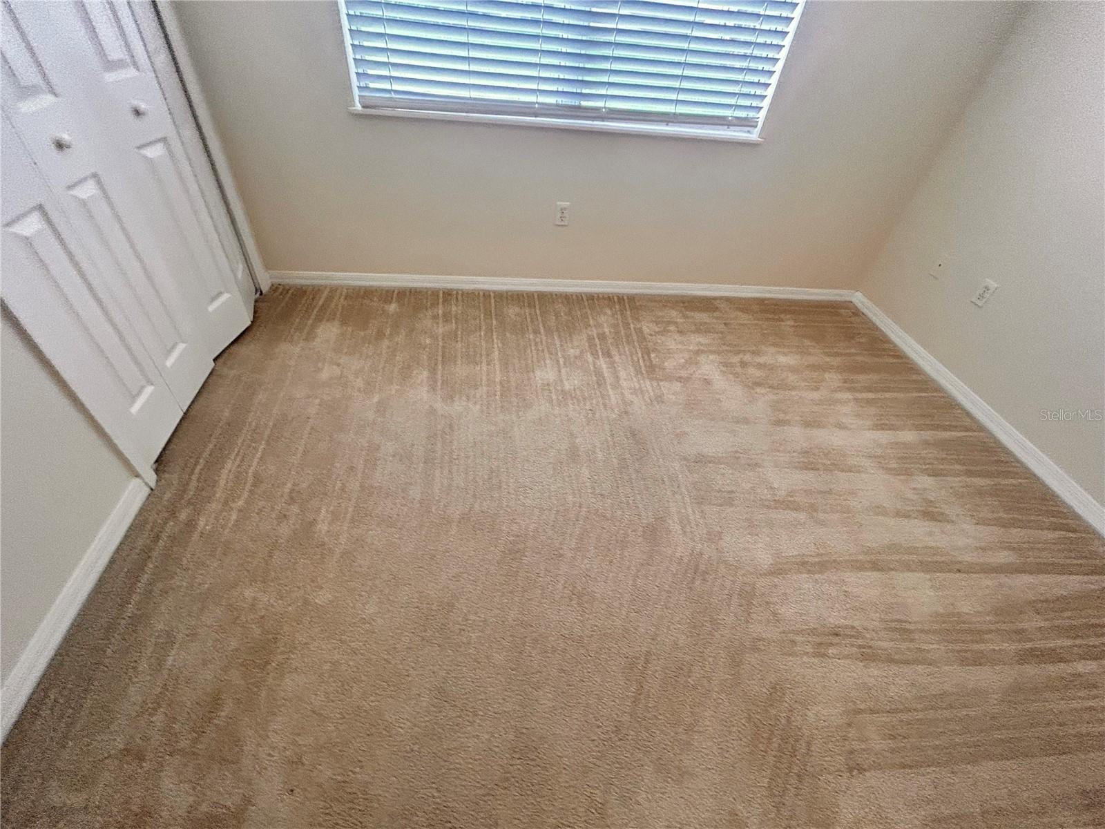 1125 Lascala Dr Property Photo 14
