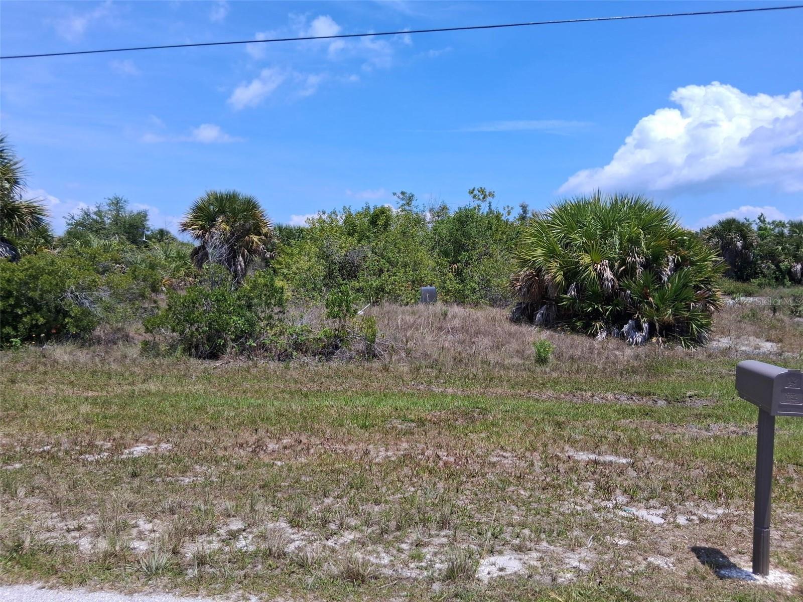 10166 KINGSVILLE DR Property Photo 1