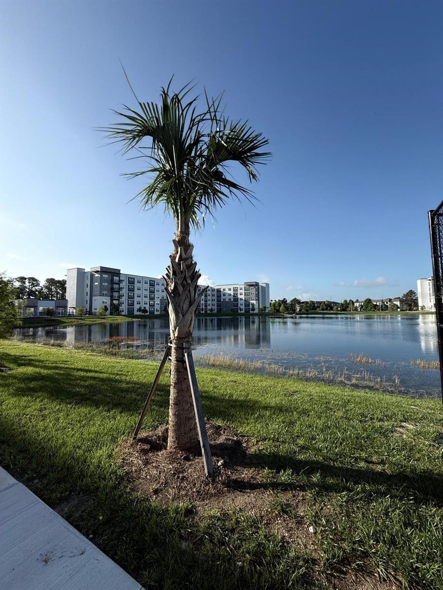 5579 Pga Blvd #524 Property Photo 21