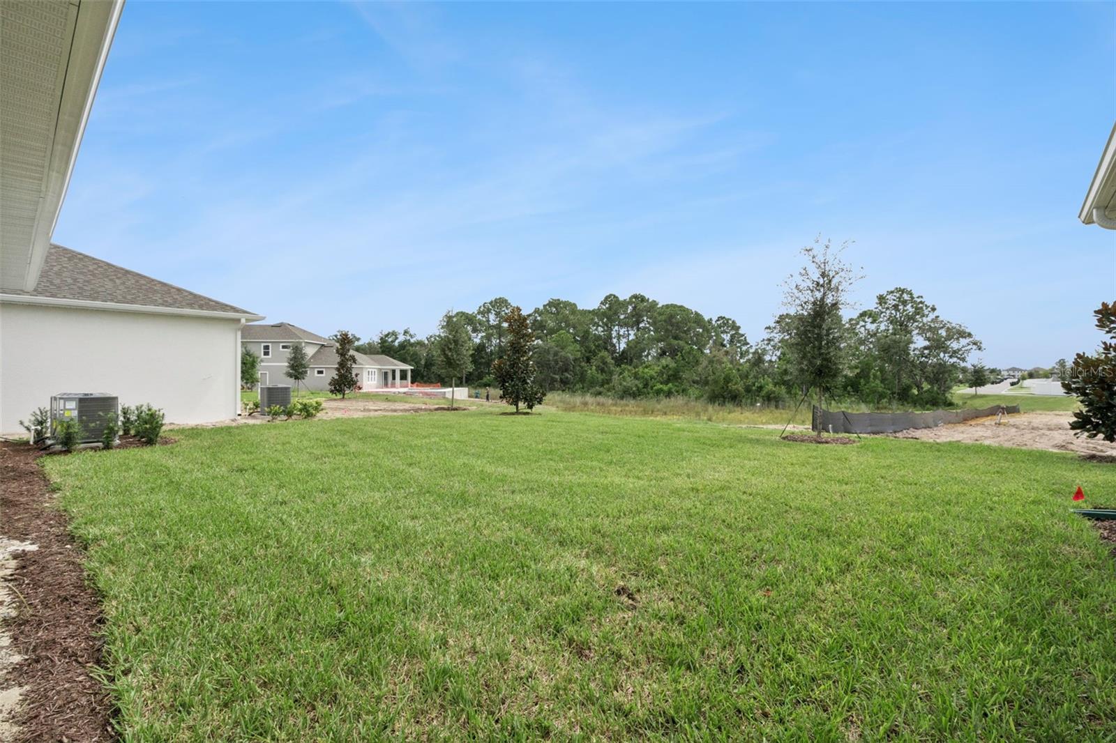 17422 Honeybell Tangelo Ct Property Photo 35