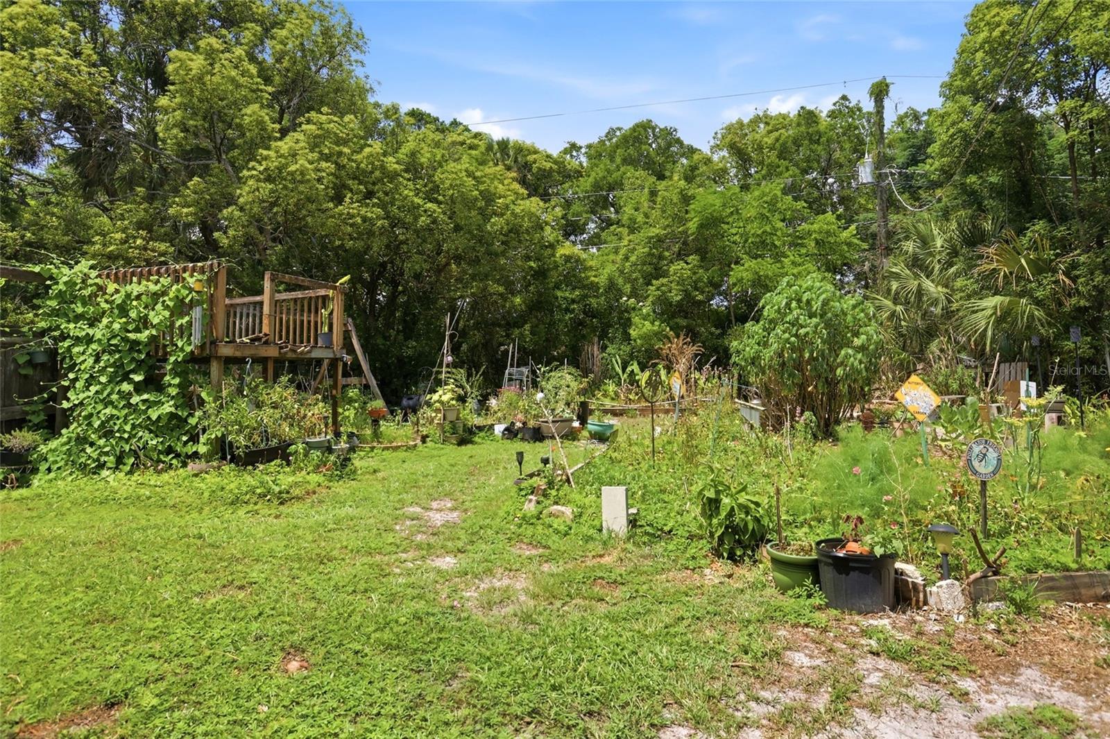 804 Rosalia Dr Property Photo 18