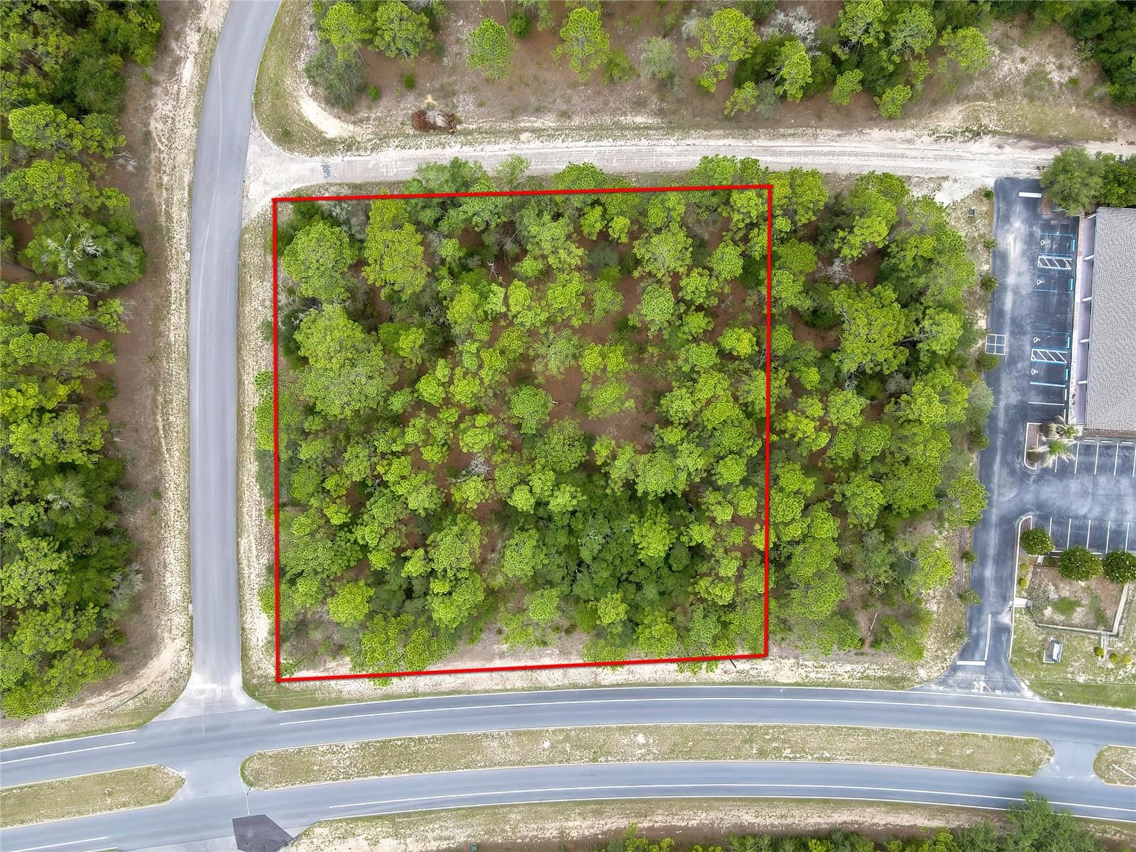 9787 N CITRUS SPRINGS BLVD Property Photo 1