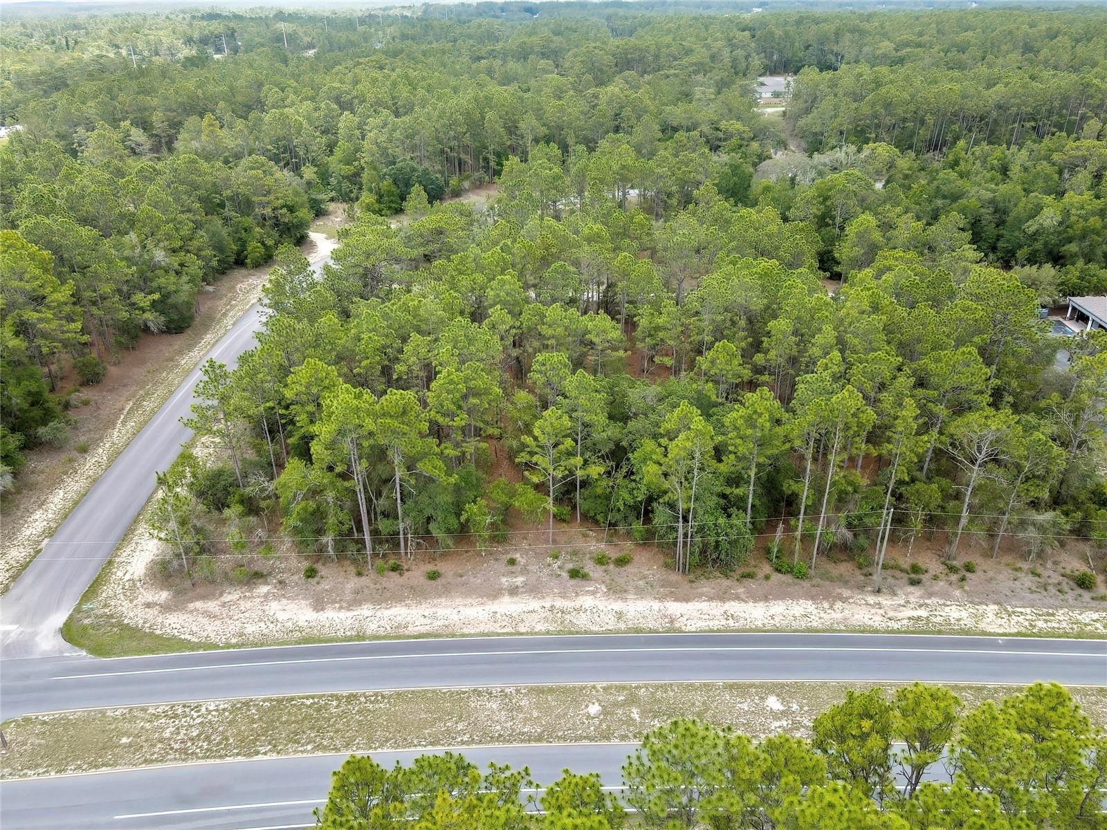 9787 N Citrus Springs Blvd Property Photo 3