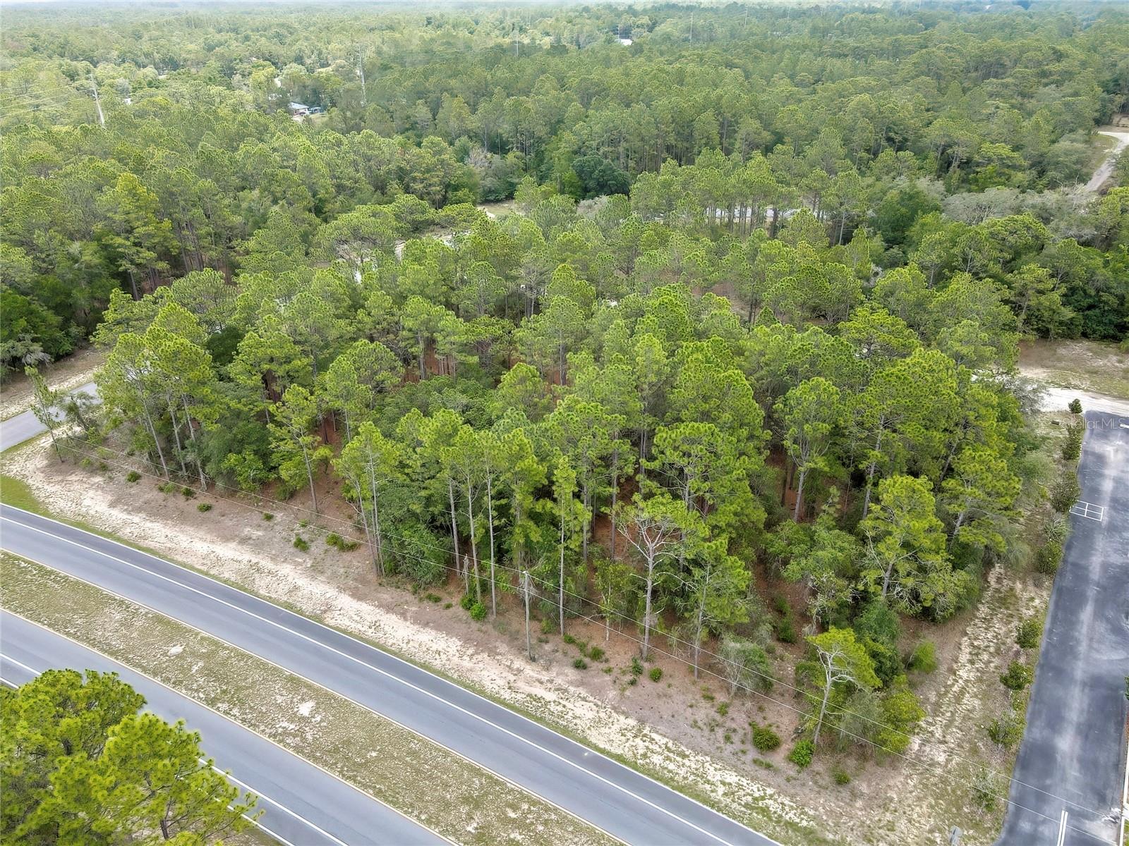 9787 N Citrus Springs Blvd Property Photo 4