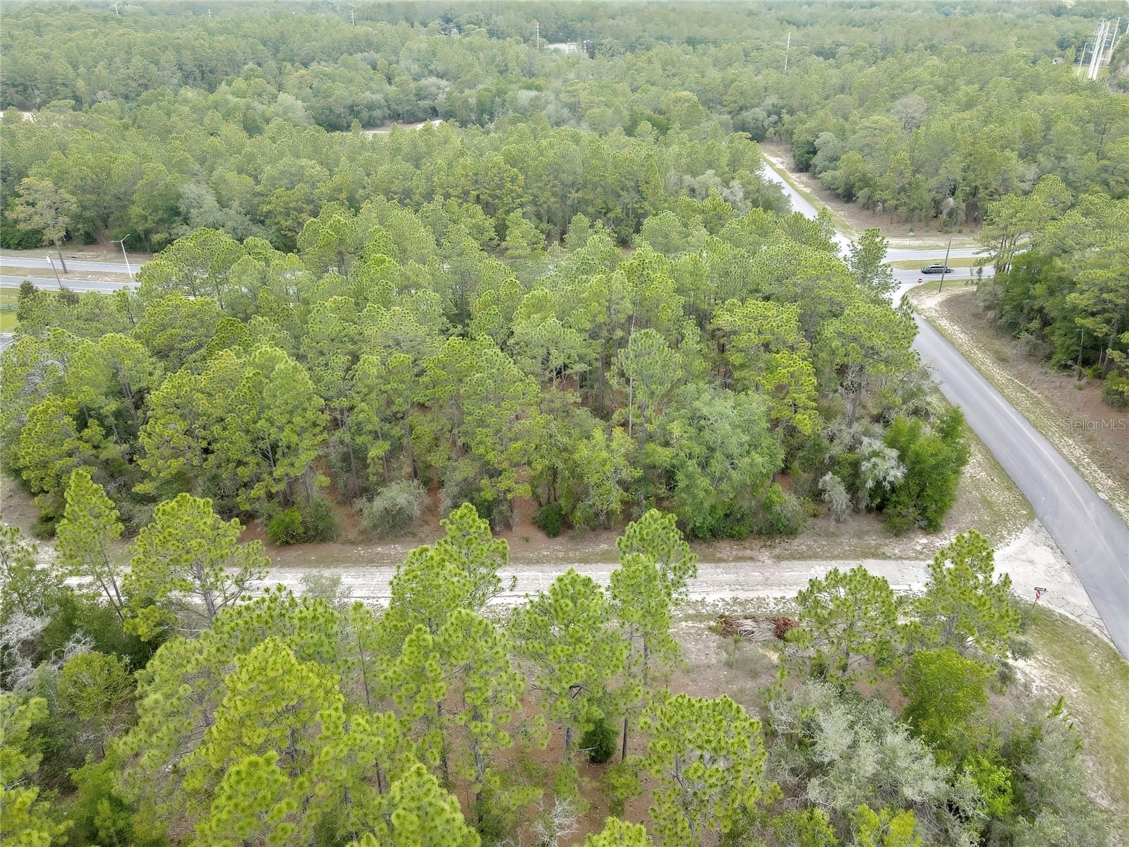 9787 N Citrus Springs Blvd Property Photo 7