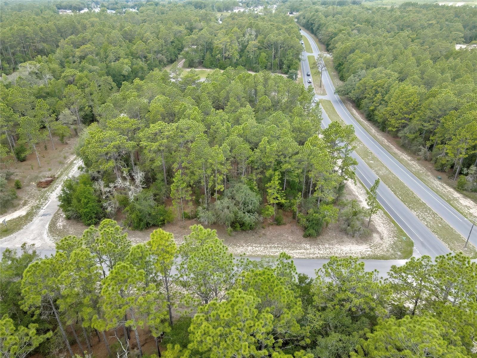 9787 N Citrus Springs Blvd Property Photo 9
