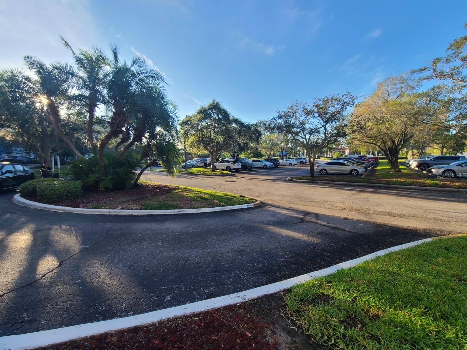 2333 Feather Sound Dr #a208 Property Photo 5
