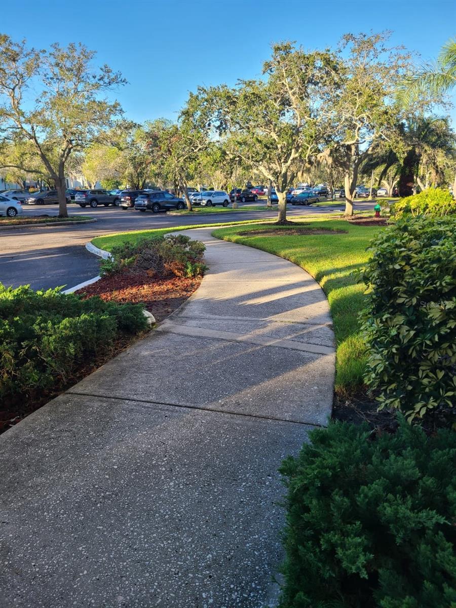 2333 Feather Sound Dr #a208 Property Photo 7