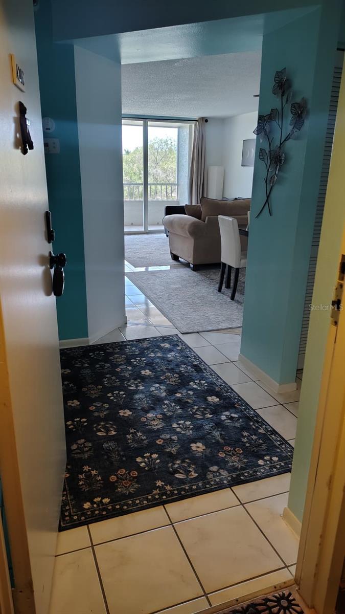 2333 Feather Sound Dr #a208 Property Photo 18