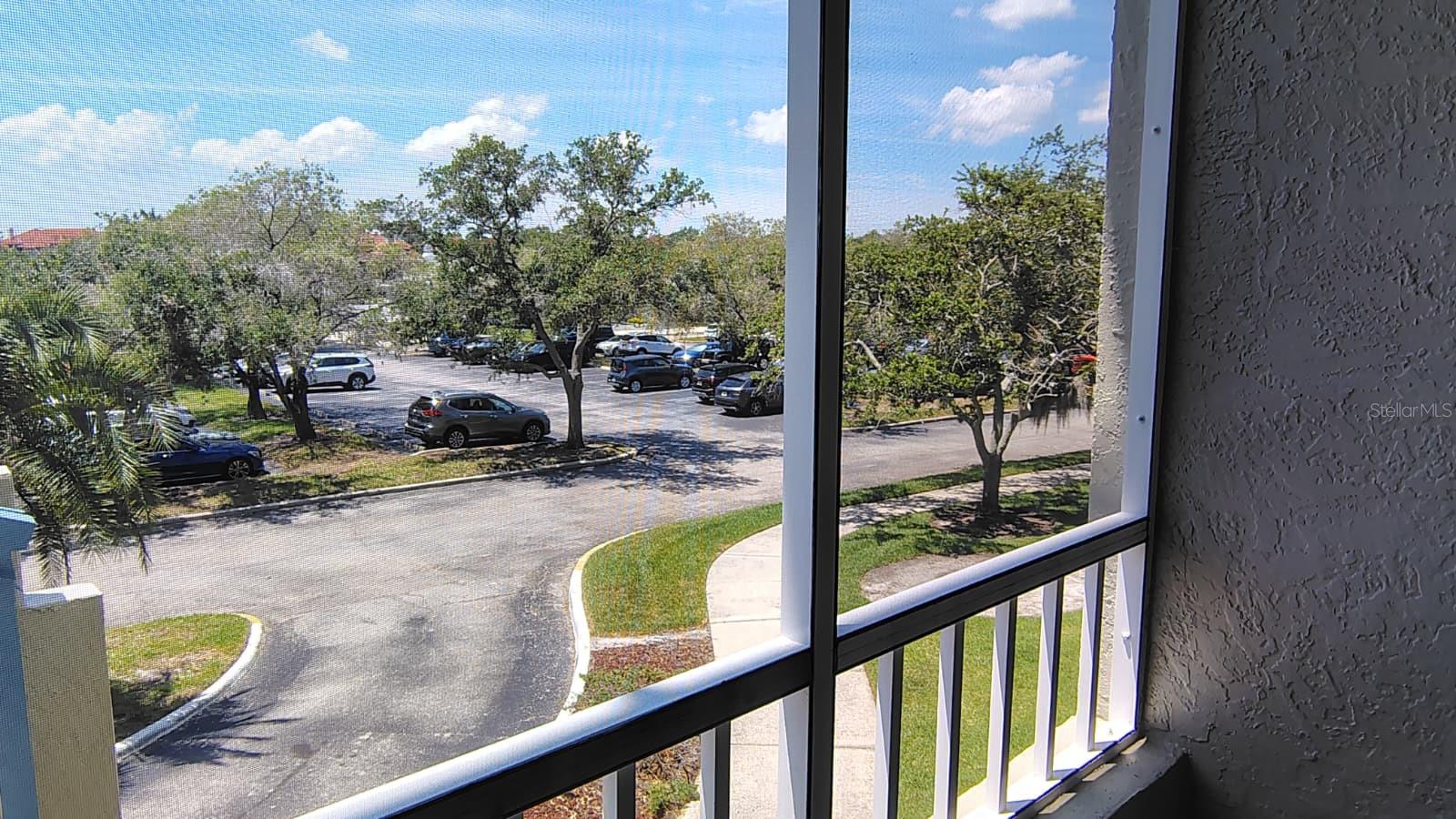 2333 Feather Sound Dr #a208 Property Photo 33