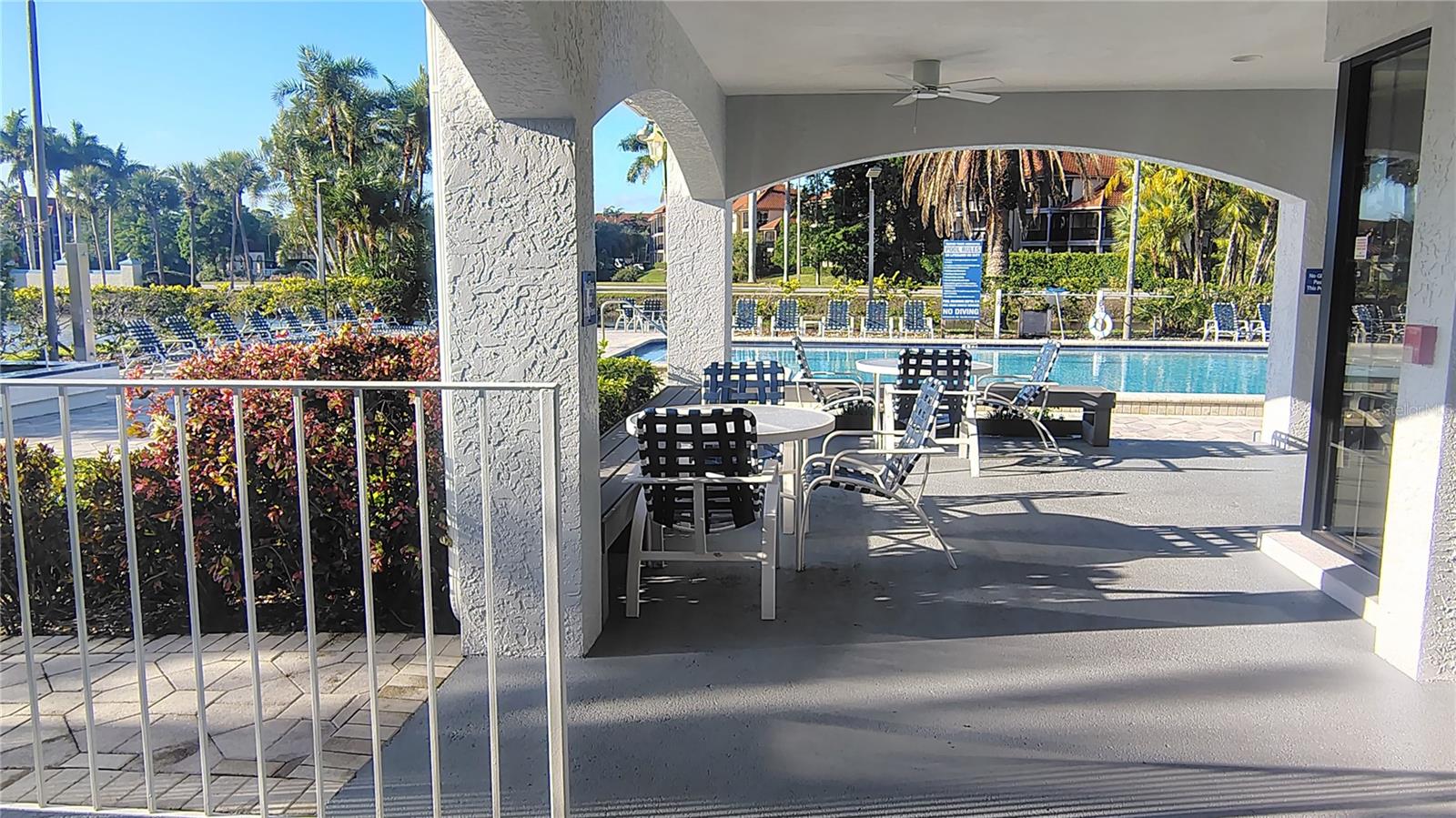 2333 Feather Sound Dr #a208 Property Photo 63